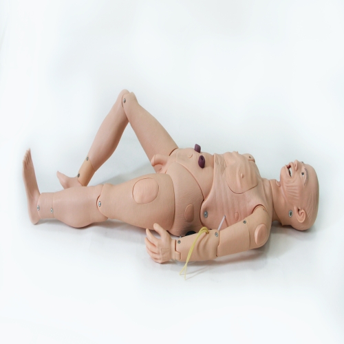 高級(jí)全功能老年護(hù)理人（男性）