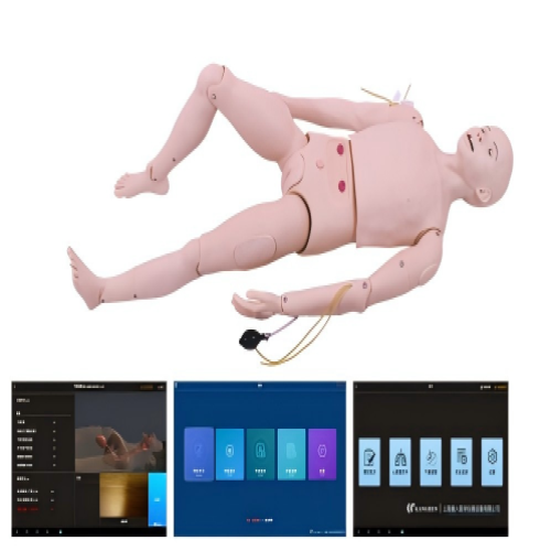 高級(jí)成人護(hù)理及CPR模型人（軟件版）