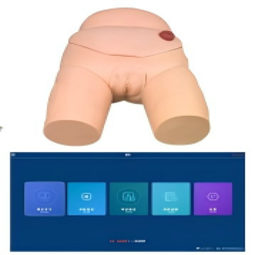 高級(jí)女性導(dǎo)尿模型(軟件版)