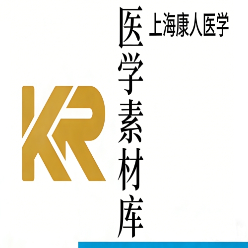 醫(yī)學(xué)素材庫(kù)