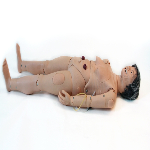 高級(jí)全功能老年護(hù)理人（女性）