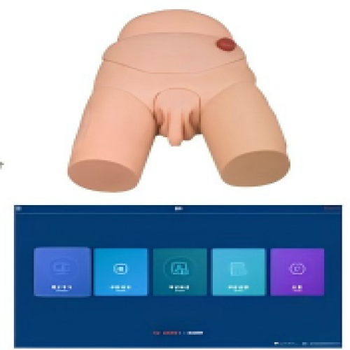 高級(jí)男性導(dǎo)尿模型(軟件版)