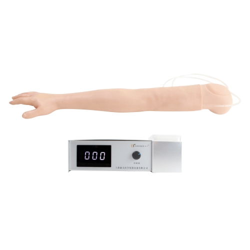 高級靜脈穿刺注射手臂模型（右手）